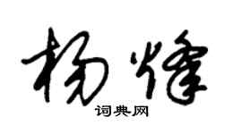 朱錫榮楊烽草書個性簽名怎么寫