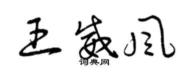 曾慶福王威風草書個性簽名怎么寫