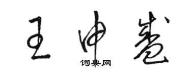 駱恆光王申盛草書個性簽名怎么寫