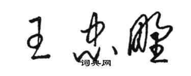 駱恆光王忠野草書個性簽名怎么寫