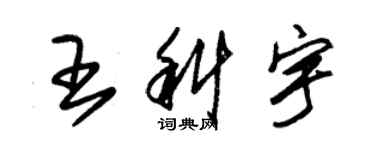 朱錫榮王科宇草書個性簽名怎么寫