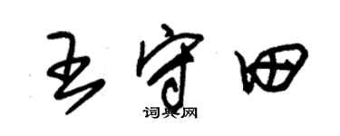 朱錫榮王守田草書個性簽名怎么寫