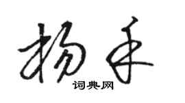 駱恆光楊禾草書個性簽名怎么寫