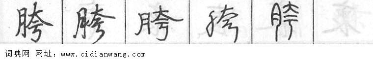 鋼筆字典