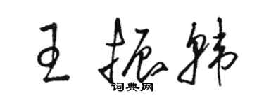 駱恆光王振韓草書個性簽名怎么寫