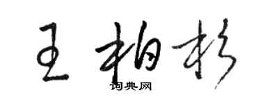 駱恆光王柏杉草書個性簽名怎么寫