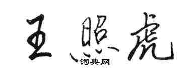 駱恆光王照虎行書個性簽名怎么寫