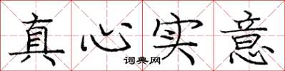 龐中華真心實意楷書怎么寫
