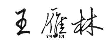 駱恆光王雁林行書個性簽名怎么寫
