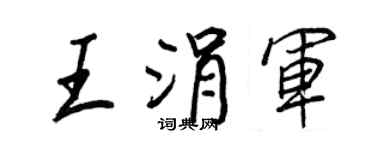 王正良王涓軍行書個性簽名怎么寫