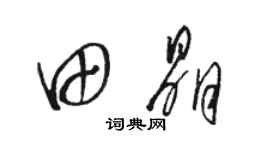 駱恆光田晶草書個性簽名怎么寫