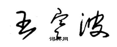 朱錫榮王寒波草書個性簽名怎么寫