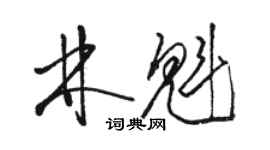 駱恆光林魁草書個性簽名怎么寫