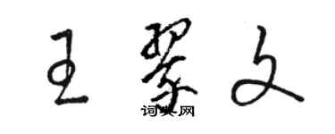 駱恆光王翠文草書個性簽名怎么寫