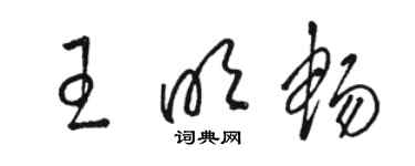 駱恆光王明暢草書個性簽名怎么寫