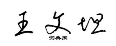 梁錦英王文坦草書個性簽名怎么寫