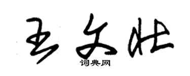 朱錫榮王文壯草書個性簽名怎么寫