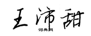 王正良王沛甜行書個性簽名怎么寫