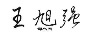 駱恆光王旭強行書個性簽名怎么寫