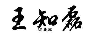 胡問遂王知磊行書個性簽名怎么寫