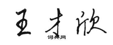駱恆光王才欣行書個性簽名怎么寫