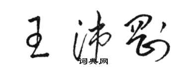 駱恆光王沛剛草書個性簽名怎么寫