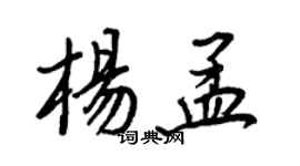 王正良楊孟行書個性簽名怎么寫