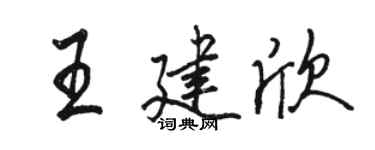 駱恆光王建欣行書個性簽名怎么寫