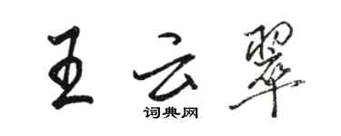 駱恆光王雲翠行書個性簽名怎么寫