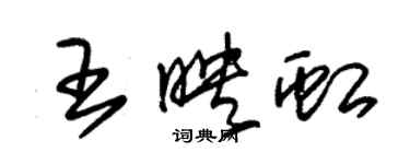 朱錫榮王映虹草書個性簽名怎么寫