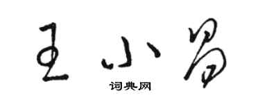 駱恆光王小昌草書個性簽名怎么寫