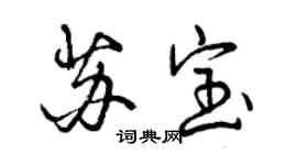 曾慶福蘇寶行書個性簽名怎么寫