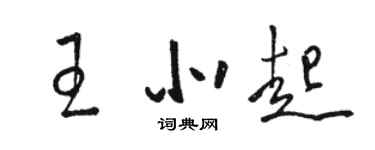 駱恆光王北起草書個性簽名怎么寫