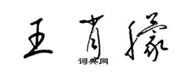 梁錦英王肖朦草書個性簽名怎么寫