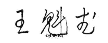 駱恆光王魁武草書個性簽名怎么寫