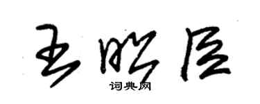 朱錫榮王昭臣草書個性簽名怎么寫