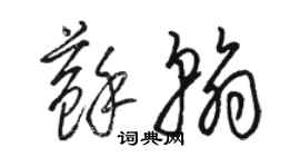 駱恆光蘇翰草書個性簽名怎么寫