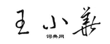 駱恆光王小華草書個性簽名怎么寫