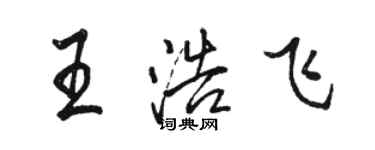 駱恆光王浩飛行書個性簽名怎么寫