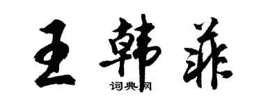 胡問遂王韓菲行書個性簽名怎么寫