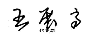 朱錫榮王展高草書個性簽名怎么寫