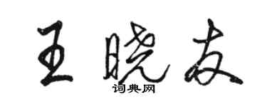 駱恆光王曉友行書個性簽名怎么寫