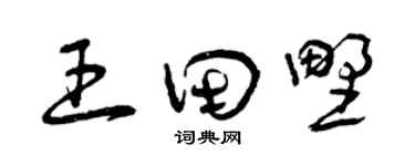 曾慶福王田野草書個性簽名怎么寫