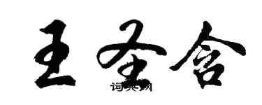 胡問遂王聖含行書個性簽名怎么寫