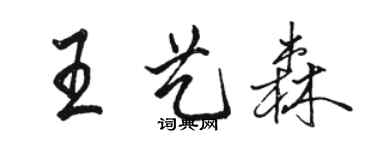 駱恆光王藝森行書個性簽名怎么寫