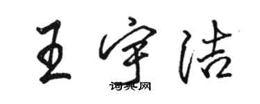 駱恆光王宇潔行書個性簽名怎么寫