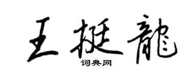 王正良王挺龍行書個性簽名怎么寫