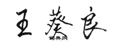 駱恆光王葵良行書個性簽名怎么寫