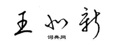 梁錦英王北新草書個性簽名怎么寫