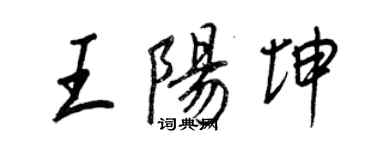 王正良王陽坤行書個性簽名怎么寫